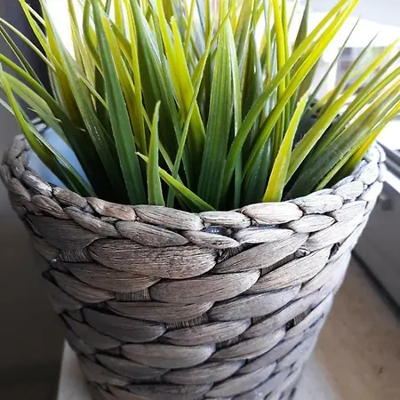 Lilyta Апартаменты *